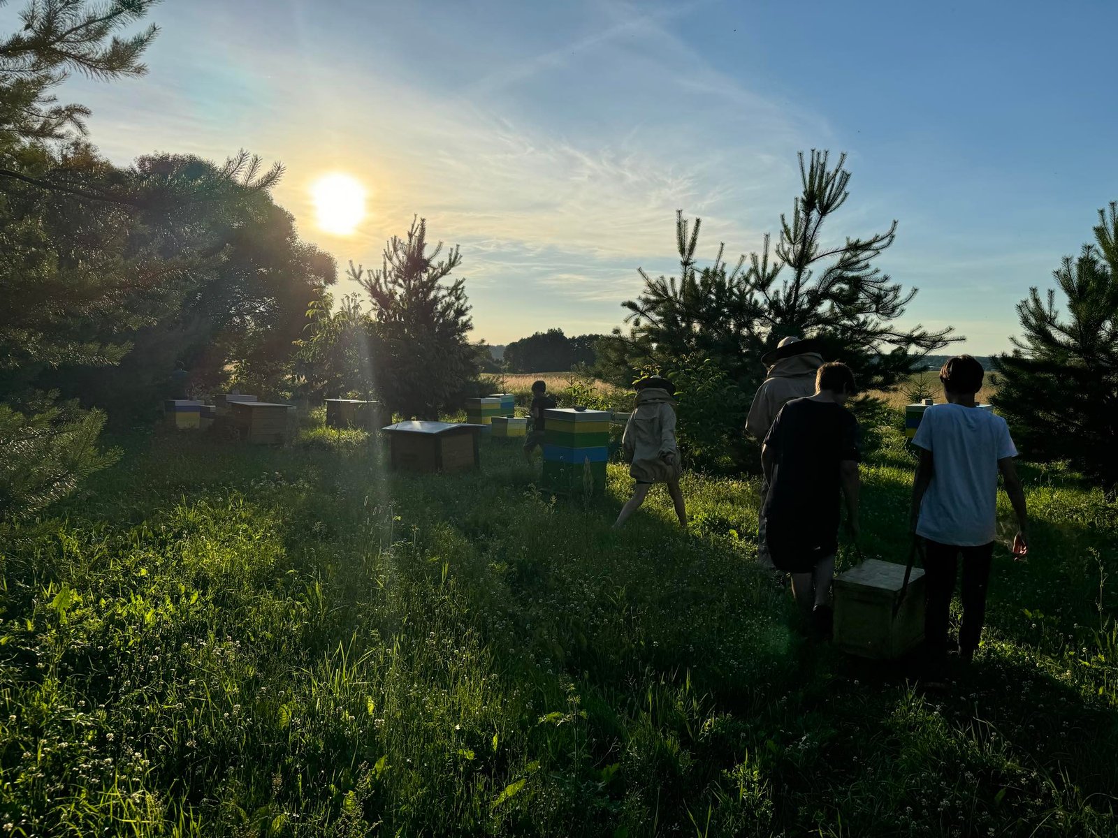 Apie mus ir mūsų bityną – Valūnų bitynas Dzūkijoje_Medus_Bičių_produktai_Bičių_žiedadulkės_Valūnų_Bitynas