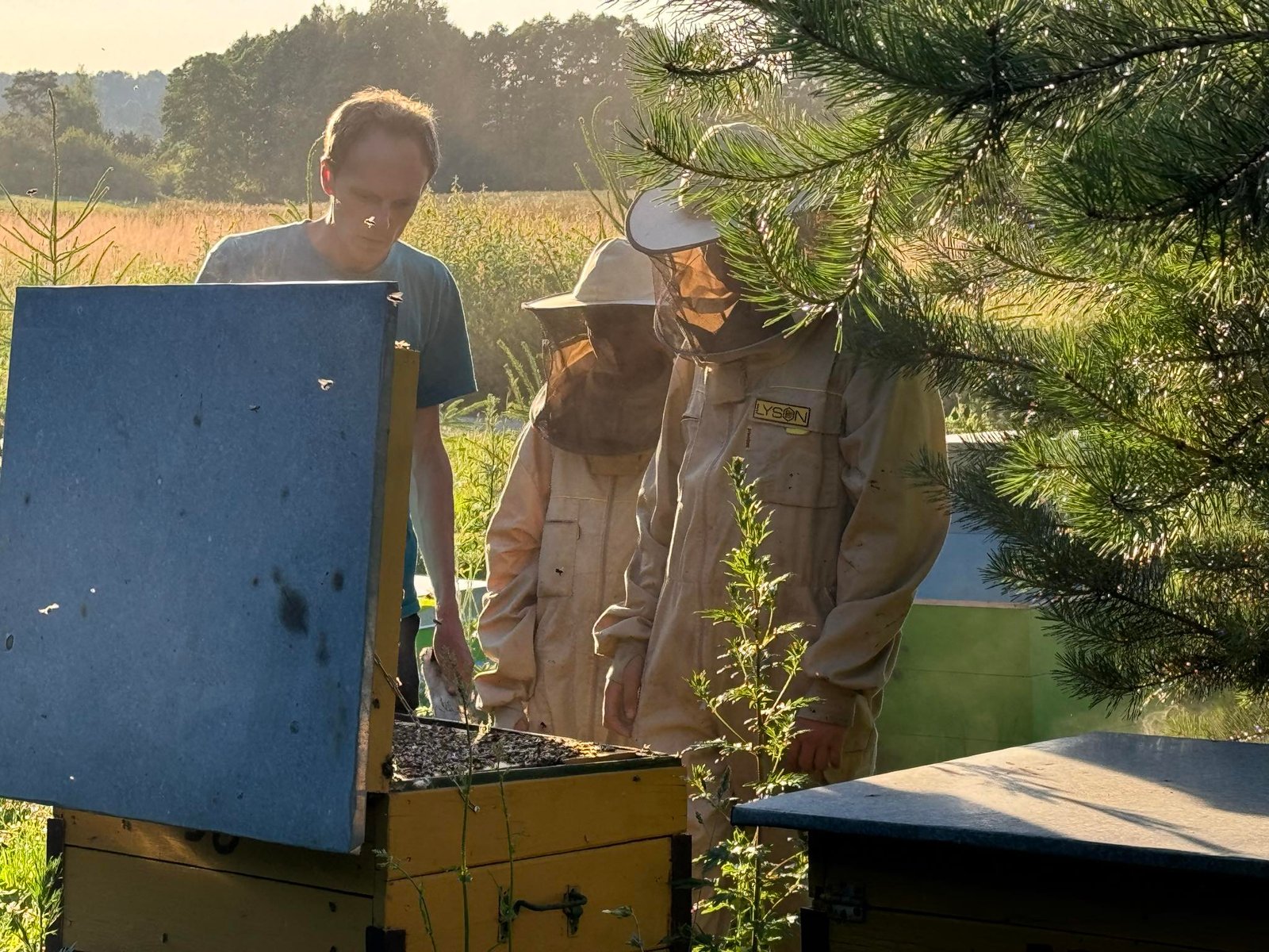 Medus_Bičių_produktai_Bičių_žiedadulkės_Valūnų_Bitynas