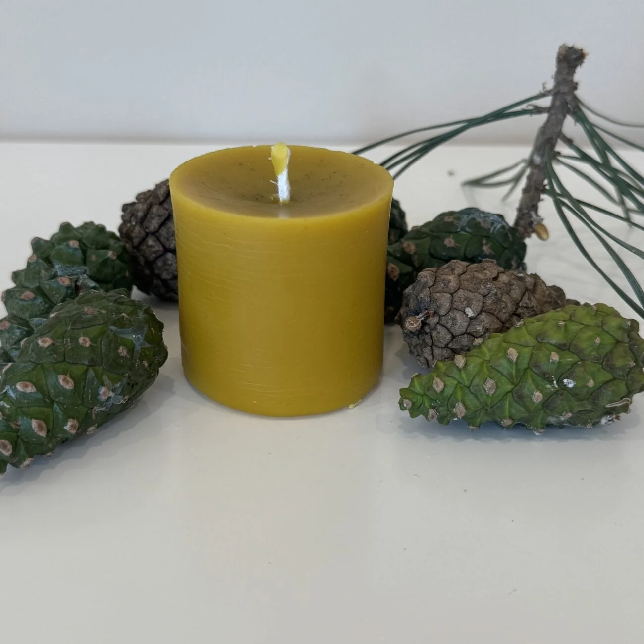 Valūnų_bitynas_Bičių_vaško_žvakė_Cilindras