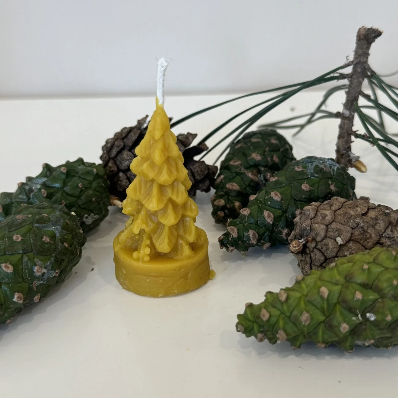 Valūnų_bitynas_Bičių_vaško_žvakė_Eglutė