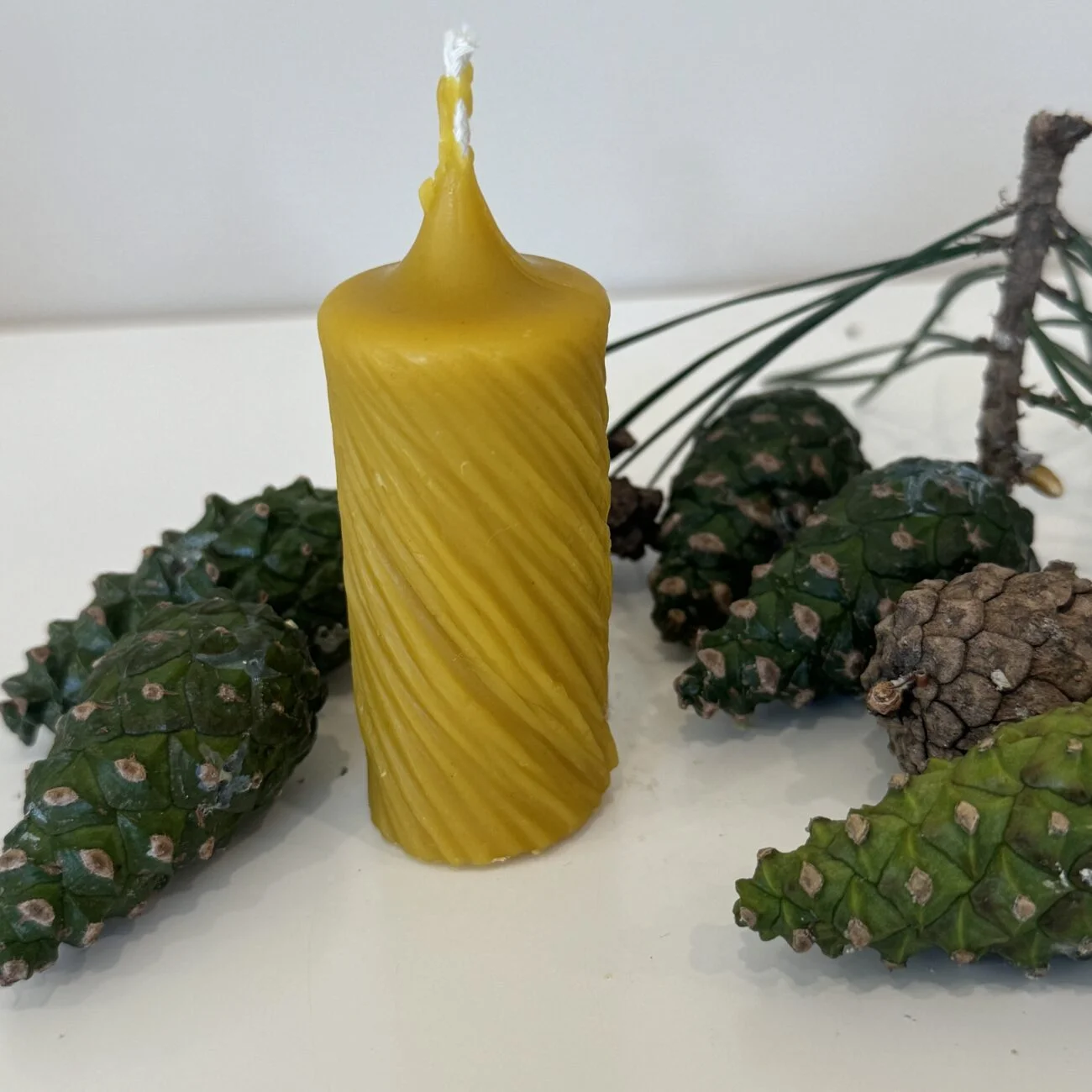 Valūnų_bitynas_Bičių_vaško_žvakė_Cilindras_2