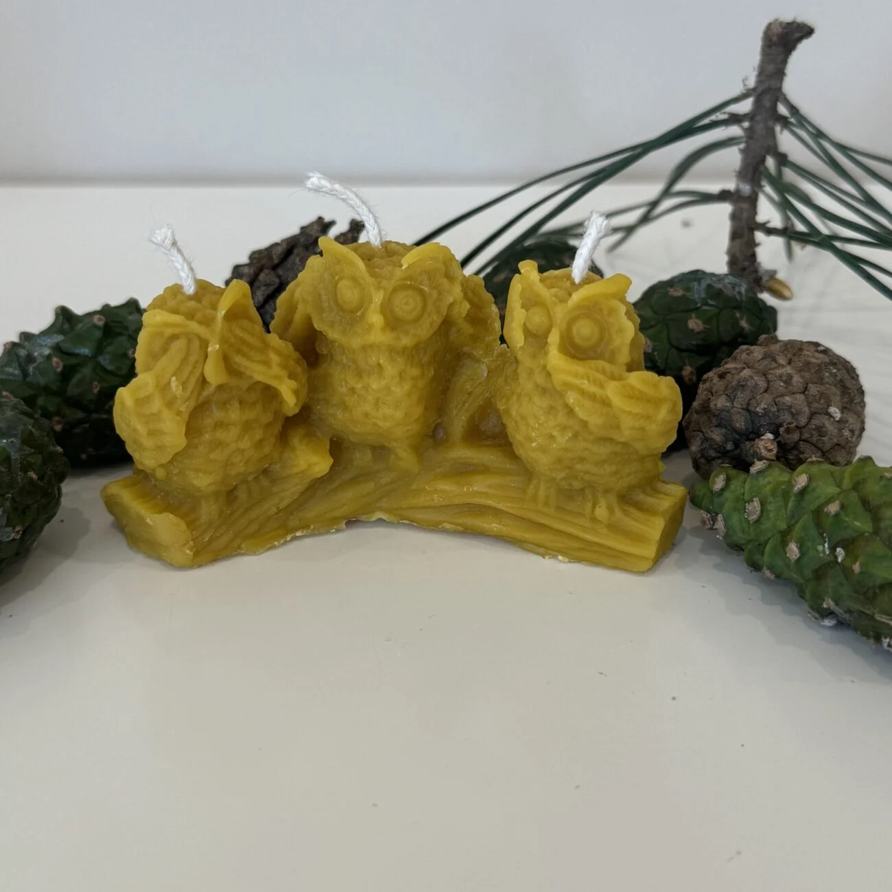 Valūnų_bitynas_Bičių_vaško_žvakė_Pelėdžiukai