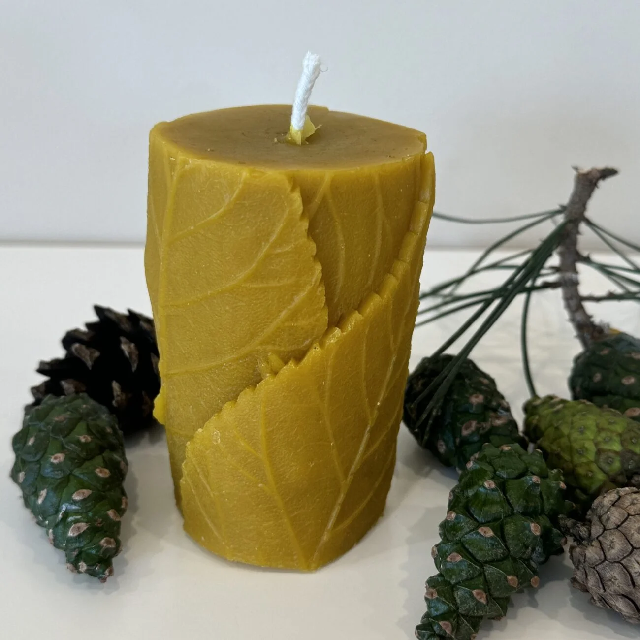 Valūnų_bitynas_Bičių_vaško_žvakė_Lapas