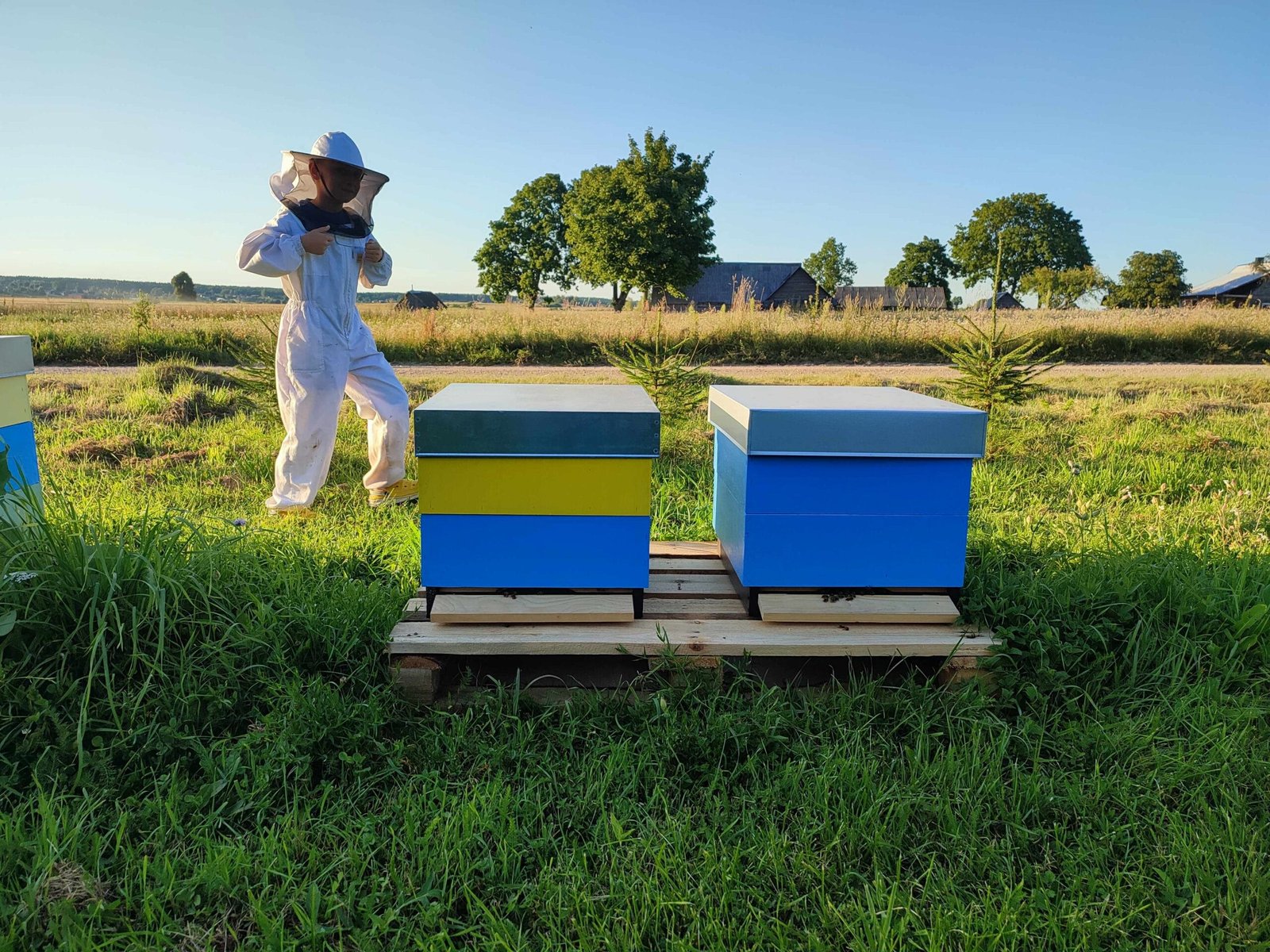 Apie Valūnų bityną_Akimirkos iš bityno_Bitininkystė Dzūkijoje_1