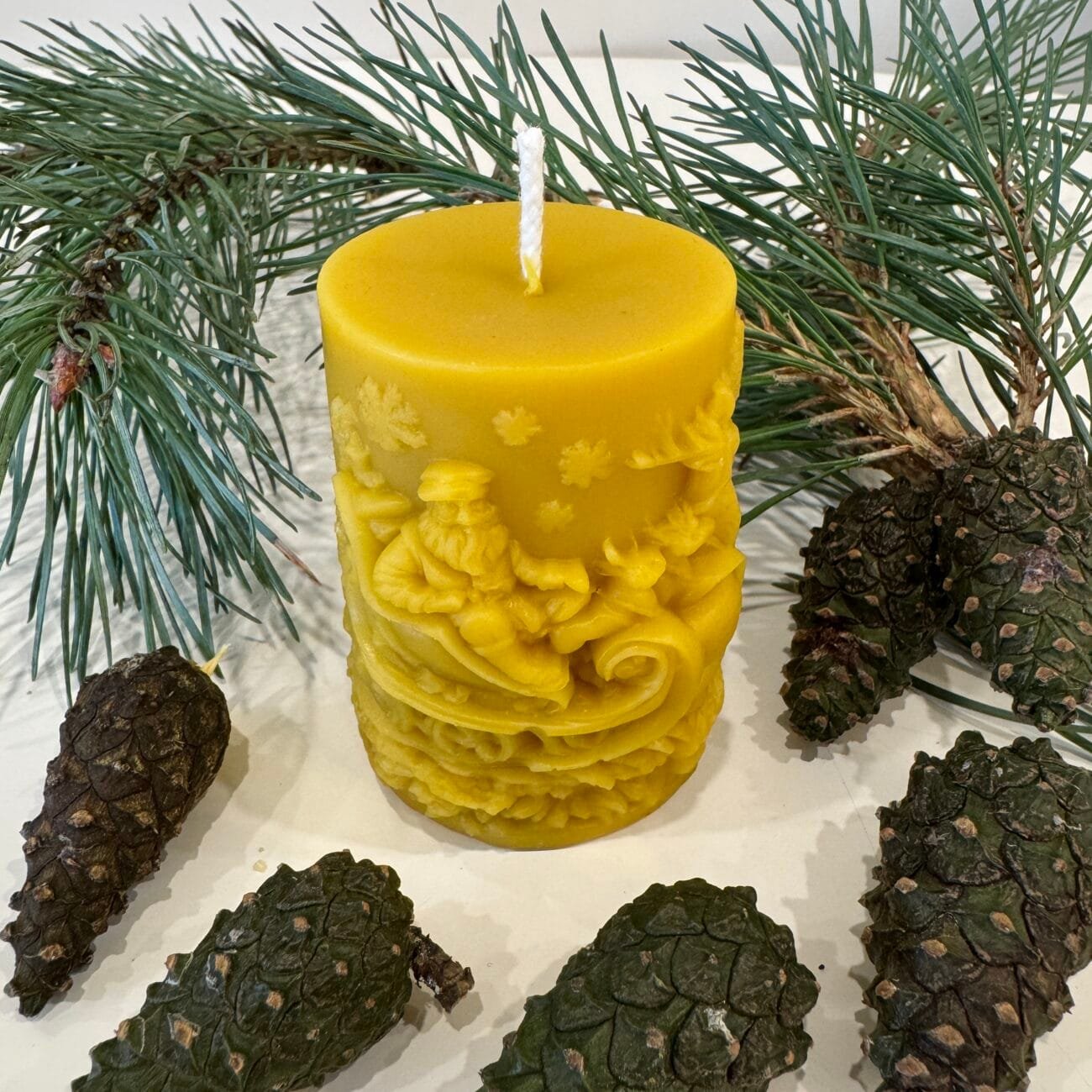 Biciu-vasko-zvake-Kaledine